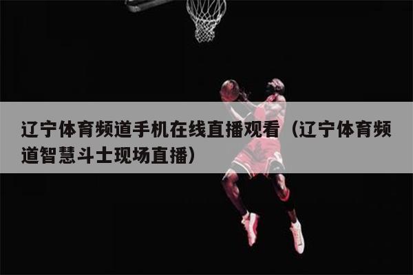 辽宁体育频道手机在线直播观看（辽宁体育频道智慧斗士现场直播）