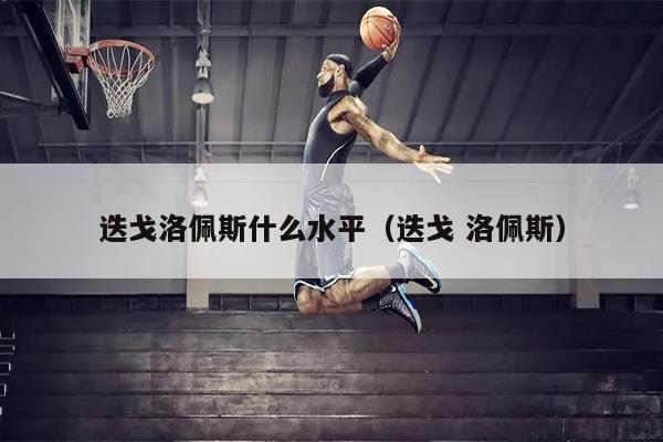 迭戈洛佩斯什么水平（迭戈 洛佩斯）