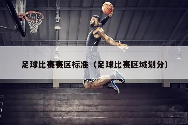 足球比赛赛区标准（足球比赛区域划分）