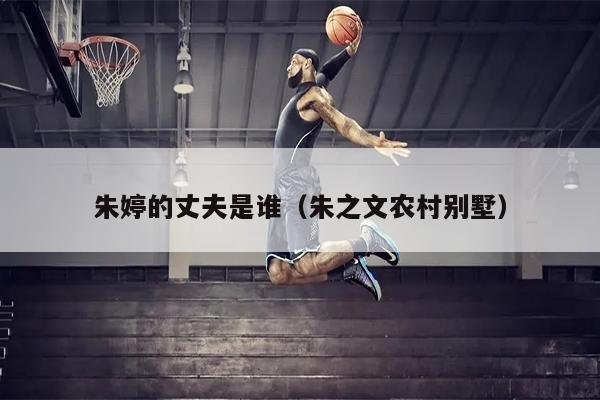 朱婷的丈夫是谁（朱之文农村别墅）