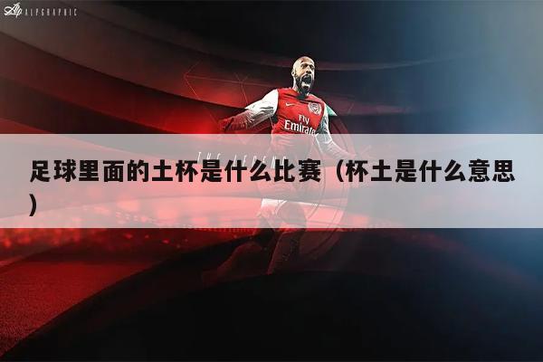 足球里面的土杯是什么比赛（杯土是什么意思）