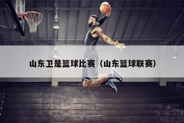 山东卫是篮球比赛（山东篮球联赛）