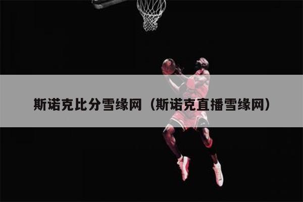 斯诺克比分雪缘网（斯诺克直播雪缘网）