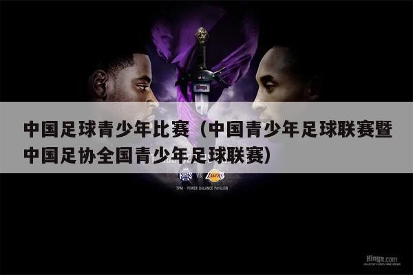 中国足球青少年比赛（中国青少年足球联赛暨中国足协全国青少年足球联赛）