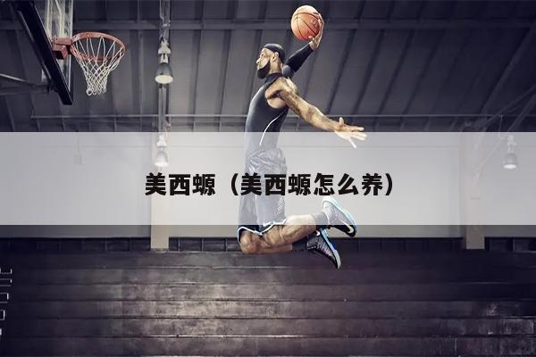 美西螈（美西螈怎么养）