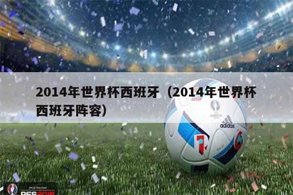 2014年世界杯西班牙（2014年世界杯西班牙阵容）