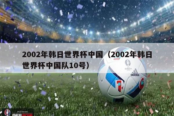 2002年韩日世界杯中国（2002年韩日世界杯中国队10号）
