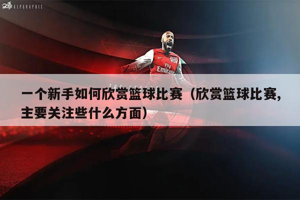 一个新手如何欣赏篮球比赛（欣赏篮球比赛,主要关注些什么方面）