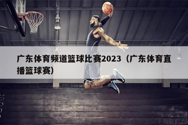 广东体育频道篮球比赛2023（广东体育直播篮球赛）