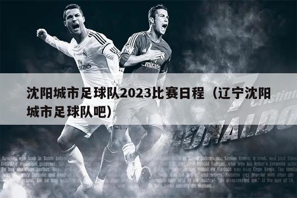 沈阳城市足球队2023比赛日程（辽宁沈阳城市足球队吧）