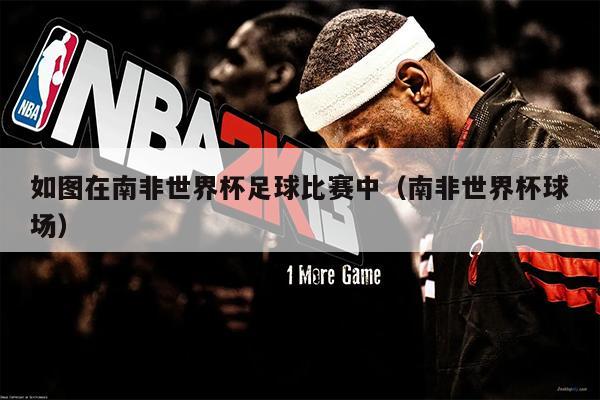 如图在南非世界杯足球比赛中（南非世界杯球场）