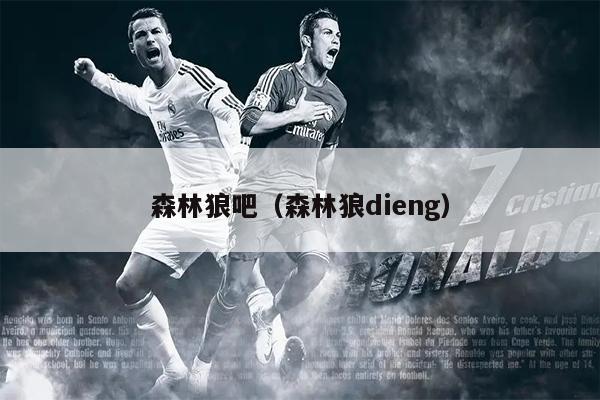 森林狼吧（森林狼dieng）