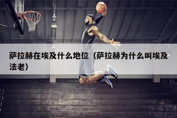 萨拉赫在埃及什么地位（萨拉赫为什么叫埃及法老）