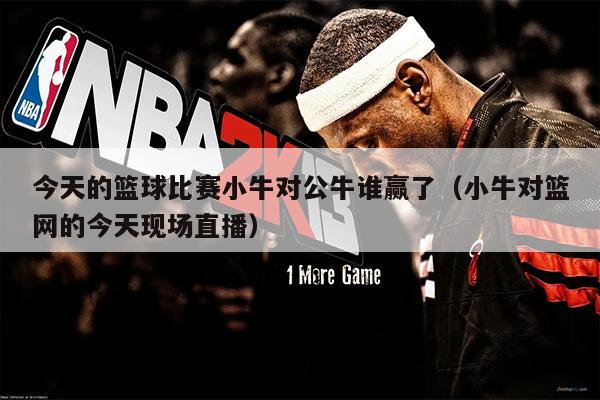 今天的篮球比赛小牛对公牛谁赢了（小牛对篮网的今天现场直播）