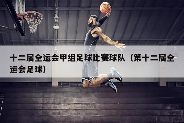 十二届全运会甲组足球比赛球队（第十二届全运会足球）