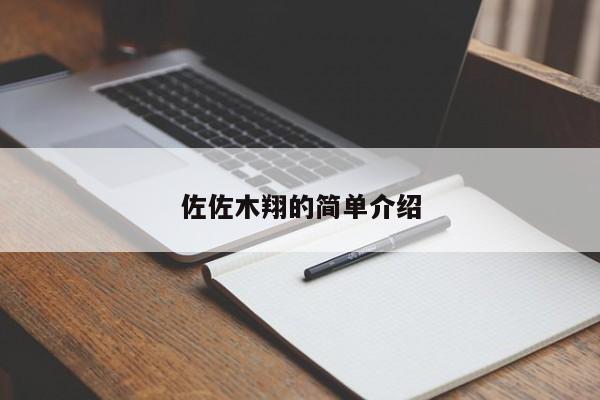 佐佐木翔的简单介绍