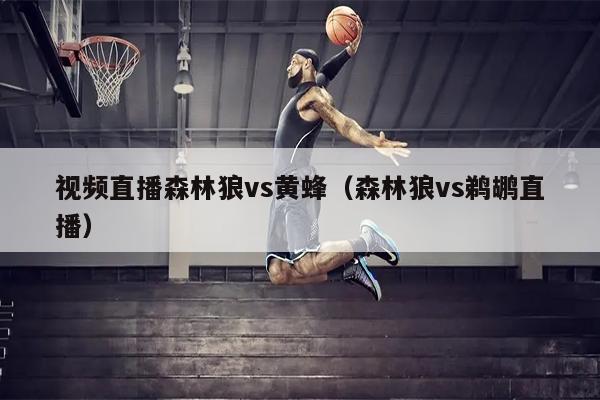 视频直播森林狼vs黄蜂（森林狼vs鹈鹕直播）