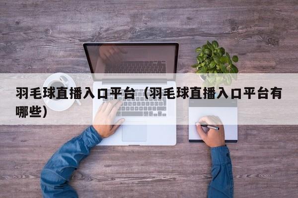羽毛球直播入口平台（羽毛球直播入口平台有哪些）