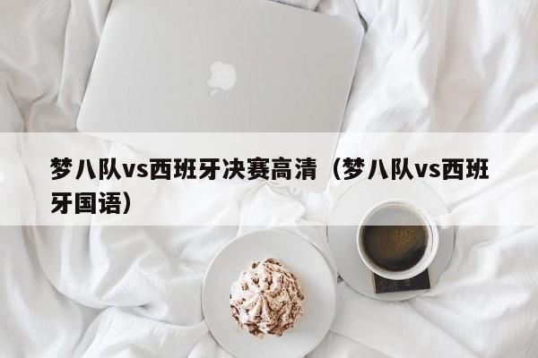 梦八队vs西班牙决赛高清（梦八队vs西班牙国语）