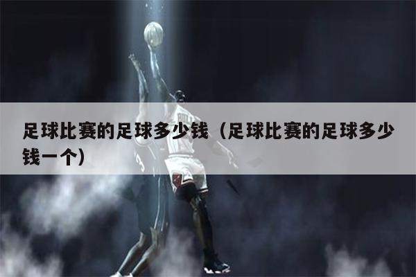 足球比赛的足球多少钱（足球比赛的足球多少钱一个）