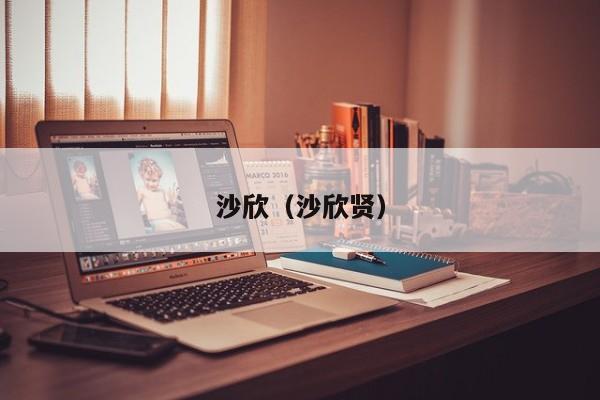 沙欣（沙欣贤）