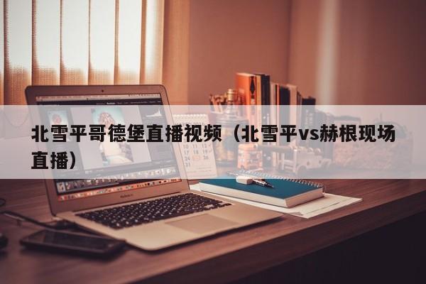 北雪平哥德堡直播视频（北雪平vs赫根现场直播）