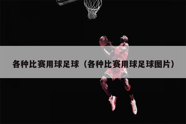 各种比赛用球足球（各种比赛用球足球图片）