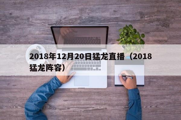2018年12月20日猛龙直播（2018猛龙阵容）