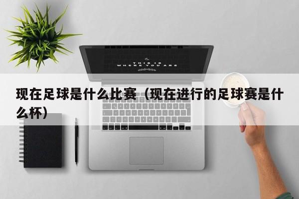 现在足球是什么比赛（现在进行的足球赛是什么杯）