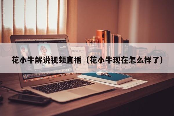 花小牛解说视频直播（花小牛现在怎么样了）