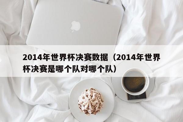 2014年世界杯决赛数据（2014年世界杯决赛是哪个队对哪个队）