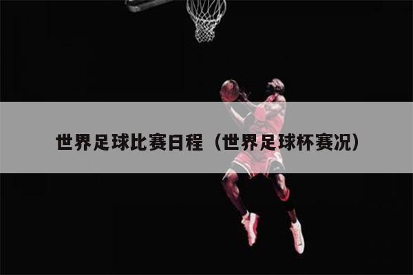 世界足球比赛日程（世界足球杯赛况）