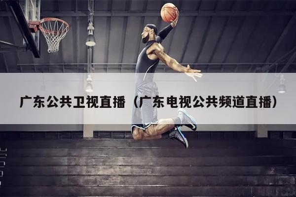广东公共卫视直播（广东电视公共频道直播）