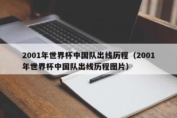 2001年世界杯中国队出线历程（2001年世界杯中国队出线历程图片）