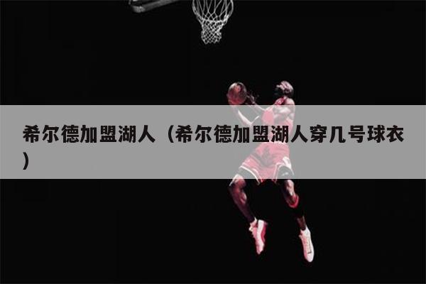 希尔德加盟湖人（希尔德加盟湖人穿几号球衣）