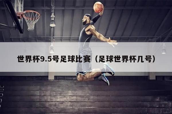世界杯9.5号足球比赛（足球世界杯几号）
