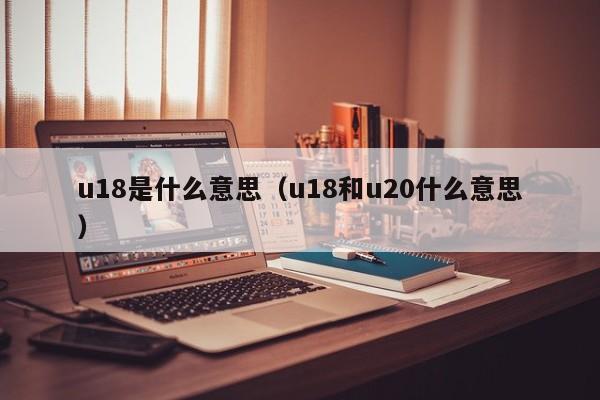 u18是什么意思（u18和u20什么意思）