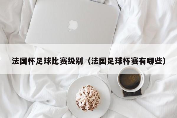 法国杯足球比赛级别（法国足球杯赛有哪些）