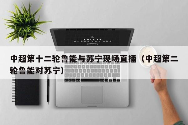 中超第十二轮鲁能与苏宁现场直播（中超第二轮鲁能对苏宁）