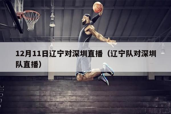 12月11日辽宁对深圳直播（辽宁队对深圳队直播）