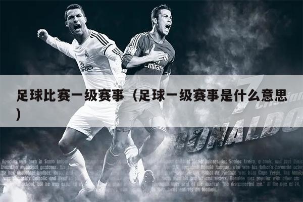 足球比赛一级赛事（足球一级赛事是什么意思）