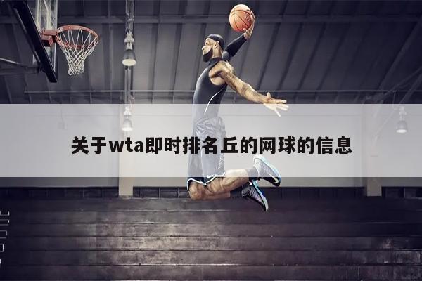 关于wta即时排名丘的网球的信息