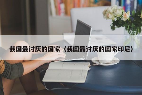我国最讨厌的国家（我国最讨厌的国家印尼）
