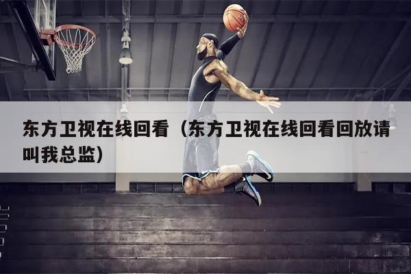 东方卫视在线回看（东方卫视在线回看回放请叫我总监）