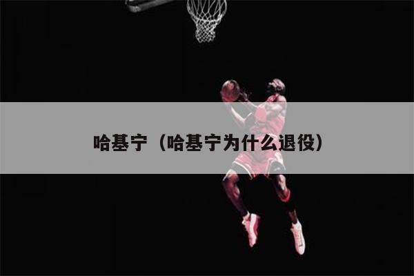 哈基宁（哈基宁为什么退役）