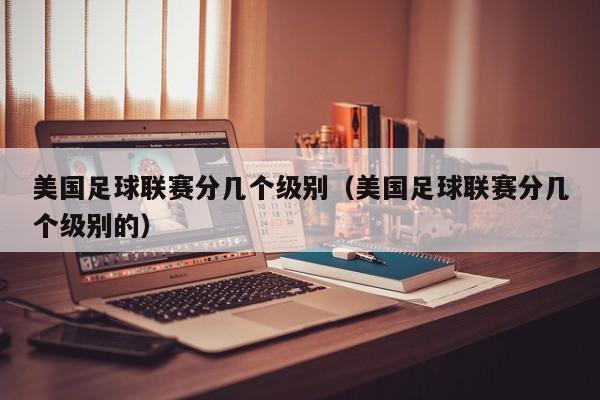 美国足球联赛分几个级别（美国足球联赛分几个级别的）