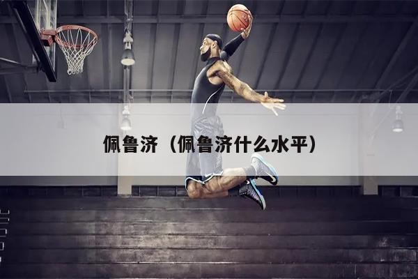 佩鲁济（佩鲁济什么水平）