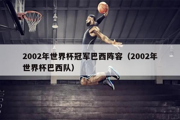 2002年世界杯冠军巴西阵容（2002年世界杯巴西队）