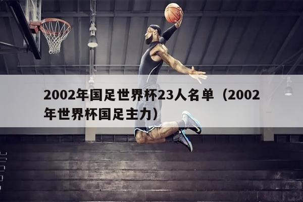 2002年国足世界杯23人名单（2002年世界杯国足主力）