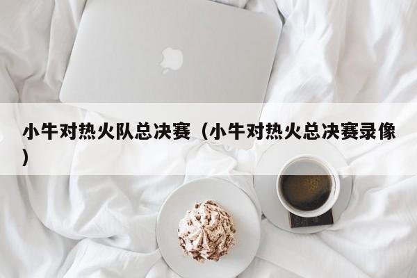 小牛对热火队总决赛（小牛对热火总决赛录像）